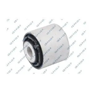 GSP-536060 MDR