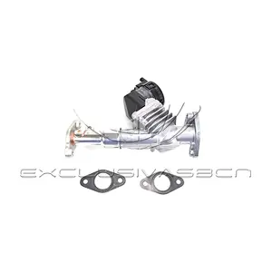 EEG-BM01 MDR
