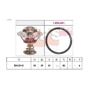 EPS-1880 339 MDR