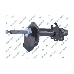 GSP-31305472 MDR