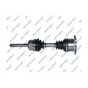 GSP-259384 MDR