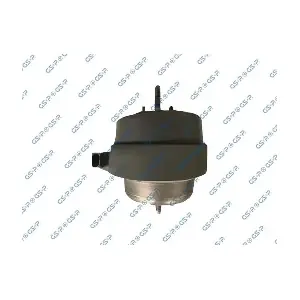 GSP-533921 MDR