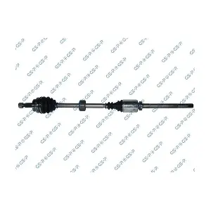 GSP-250060 MDR