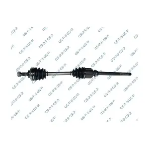 GSP-245020 MDR