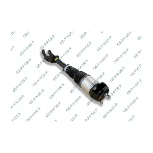 GSP-30900421 MDR