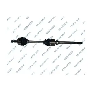 GSP-210221 MDR