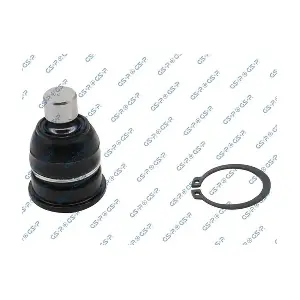 GSP-S081021 MDR