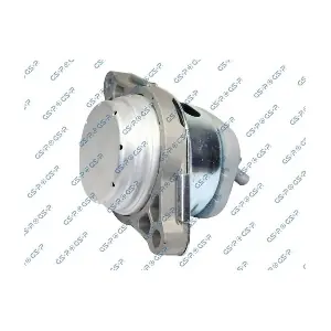GSP-510810 MDR