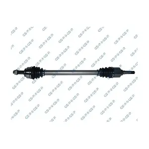 GSP-245204 MDR