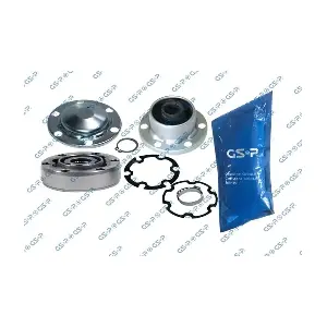 GSP-699219 MDR