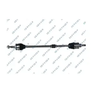 GSP-204082 MDR