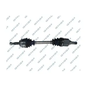 GSP-250279 MDR