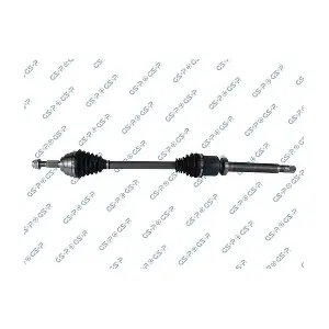 GSP-250573 MDR
