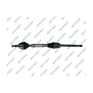 GSP-250228 MDR