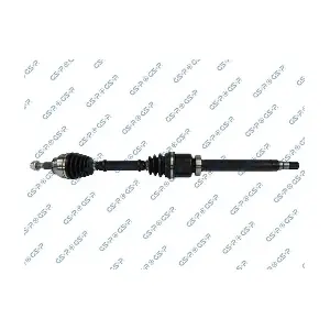 GSP-218343 MDR