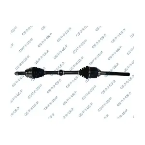 GSP-251046 MDR