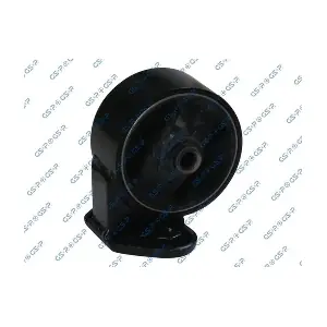 GSP-513365 MDR