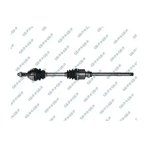 GSP-210177 MDR
