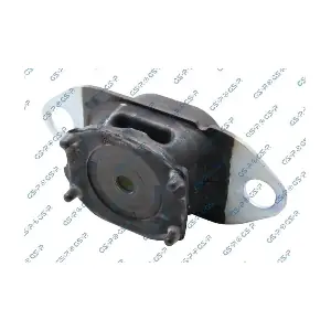 GSP-539119 MDR