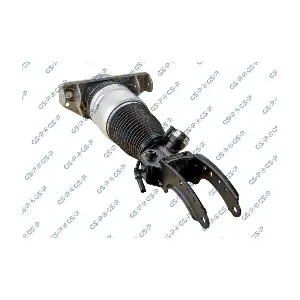 GSP-30900131 MDR