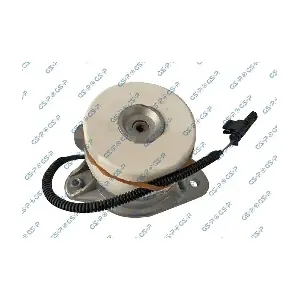 GSP-539189 MDR
