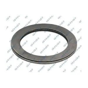 GSP-518993 MDR
