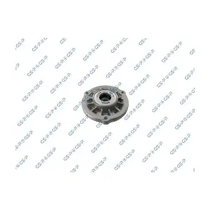 GSP-534031 MDR