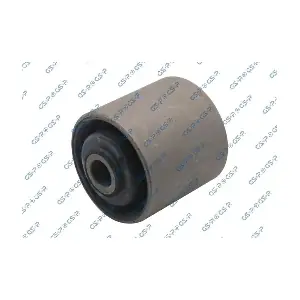 GSP-536295 MDR
