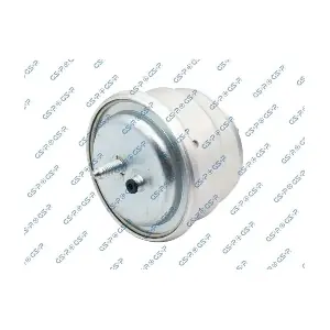 GSP-530393 MDR