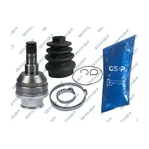 GSP-699025 MDR