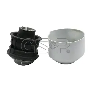 GSP-530138 MDR