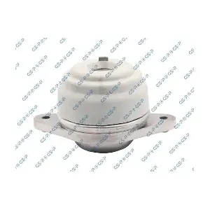 GSP-533835 MDR