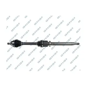 MDR GSP-218219