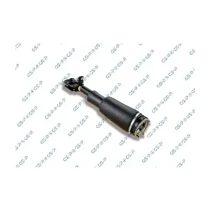 GSP-30900461 MDR