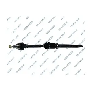 MDR GSP-218294