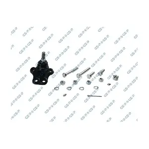 GSP-S080421 MDR