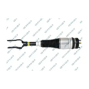 GSP-30900012 MDR