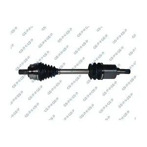 GSP-234224 MDR