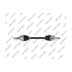 GSP-218484 MDR