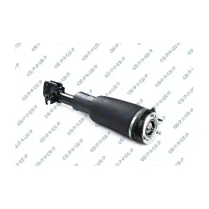 GSP-30900462 MDR