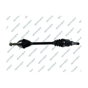 GSP-299070 MDR