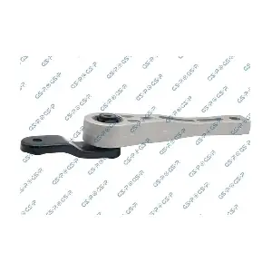 GSP-533861 MDR