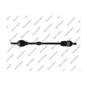 GSP-244070 MDR