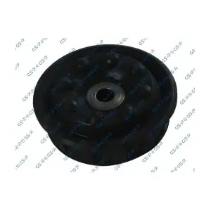GSP-510116 MDR
