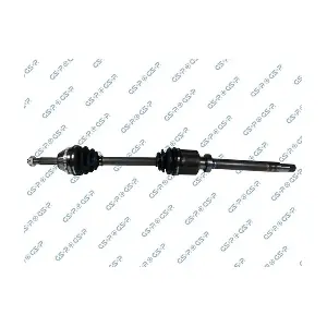 MDR GSP-218292