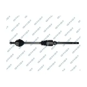 GSP-210284 MDR