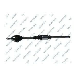 GSP-245025 MDR