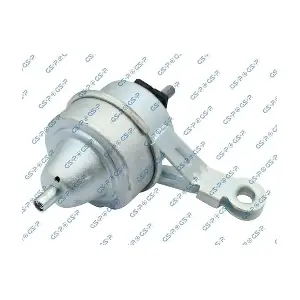 GSP-519051 MDR