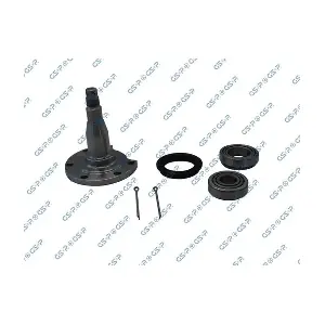 MDR GSP-9499047A