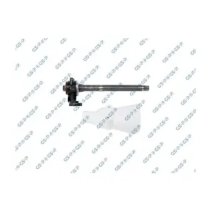GSP-261351 MDR